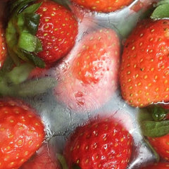 Renovera - 10 Sachets