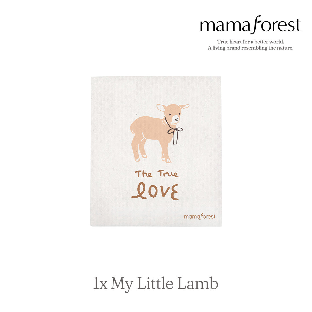 Biodegradable Cellulose Eco Dishcloth