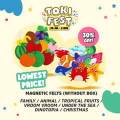 Magnetic Felts