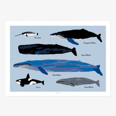 WARMGREY TAIL - Paper Poster (Rectangular)
